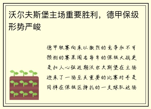 沃尔夫斯堡主场重要胜利，德甲保级形势严峻